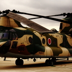 2010芦屋航空祭