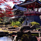 群馬赤城福増寺の秋⑥