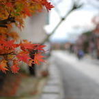 紅葉