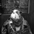 IMG_9209