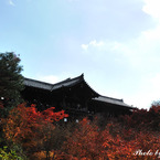 Ishi-kun_7452