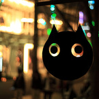 Cat　is　watching　you！