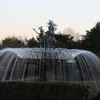 IMG_3973