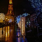 White Illumination 17