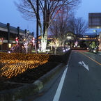 しなの鉄道の夜 (4)軽井沢駅