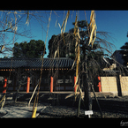 kyoto de style cinéma_05