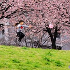 少女も飛び出し、、、。