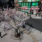 新宿駅東南口広場－２