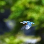 帰還