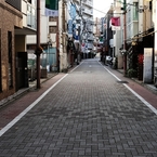 朝の散歩道 －１