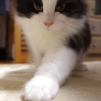 狙われております。