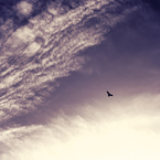 空