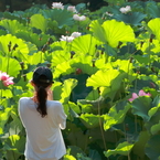 花華