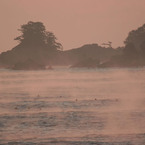 海霧・三陸海岸