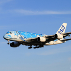 「真青の空」ANA Flying Honu  A380-841  着陸です