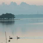 冬の涸沼