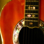 OVATION 1119-4