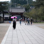 紅紫の人
