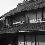 散歩11