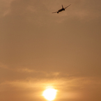 Into The Sunset