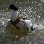 神戸花鳥園５０