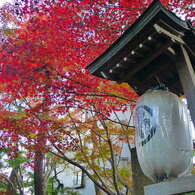 寺 風景