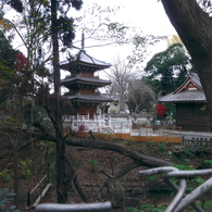寺