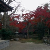 寺