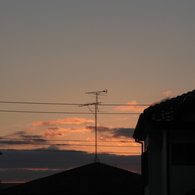 昨日の朝