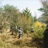 img028