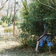 img037