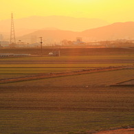 １月の夕暮れ