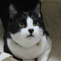 うなぎ様