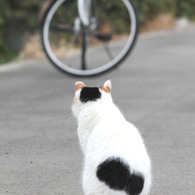 あ～～～あれ乗るとどっか行ける？