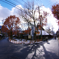 湯布院街角スナップ17