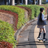 グラデーションな植え込み