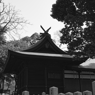 信太森葛葉稲荷神社