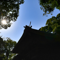 信太森葛葉稲荷神社