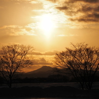 冬の夕日