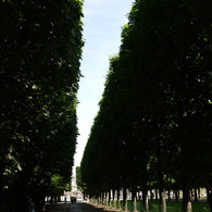 Jardin du Luxembourg