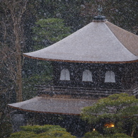 銀閣　冬景色