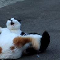うお～～～～