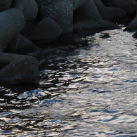 寂寞の海