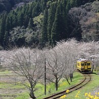 菜の花鉄道　②