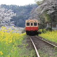 秘境駅の春