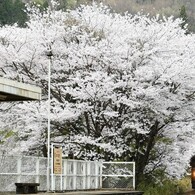 中野ステーション