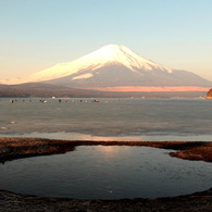 富士と山中湖