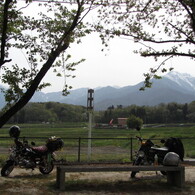 旅ゴリラ　山梨県