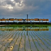 水田ガチャコン(近江鉄道)　４