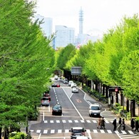 ポーリン橋より (6)